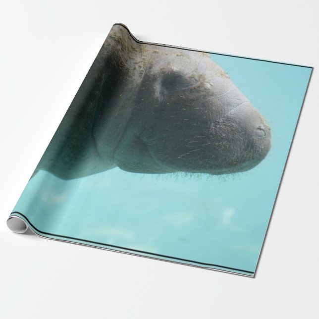 Förtjusande Manateesimning Presentpapper (Utrullad)