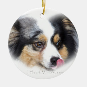 Förtjusande mini- Aussie gåvasortiment Julgransprydnad Keramik