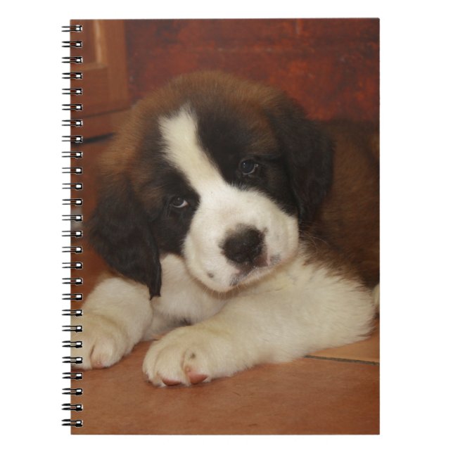 Förtjusande och söt St Bernard valp Anteckningsbok (Framsidan)