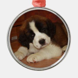 Förtjusande och söt St Bernard valp Julgransprydnad Metall