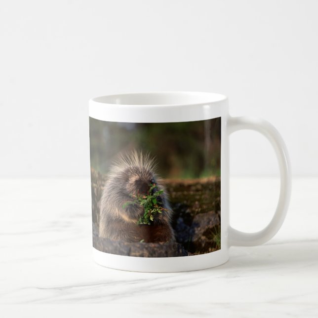 Förtjusande Porcupine Kaffemugg (Höger)