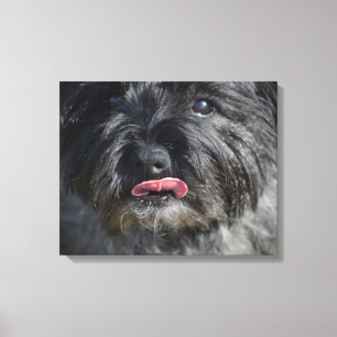 Förtjusande röseTerrier Canvastryck