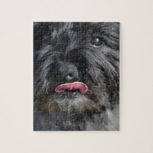 Förtjusande röseTerrier Pussel