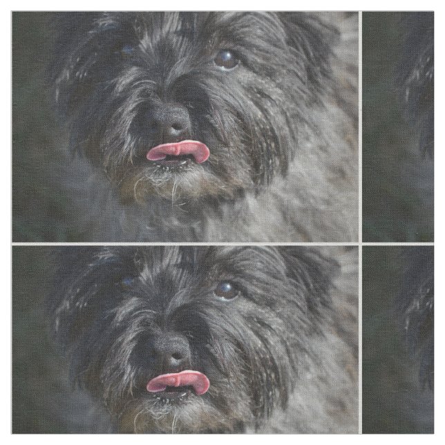 Förtjusande röseTerrier Tyg (Närbild)