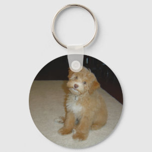 Förtjusande Schnoodle valp Nyckelring