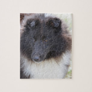 Förtjusande Sheltie Pussel