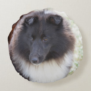 Förtjusande Sheltie Rund Kudde