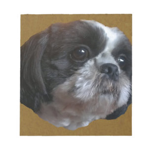 Förtjusande Shih tzu Rico Anteckningsblock