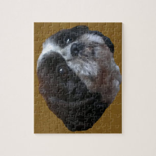 Förtjusande Shih tzu Rico Pussel