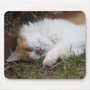 förtjusande sova kattmousepad musmatta