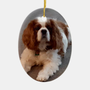Förtjusande stolt Spaniel för kung Charles Julgransprydnad Keramik