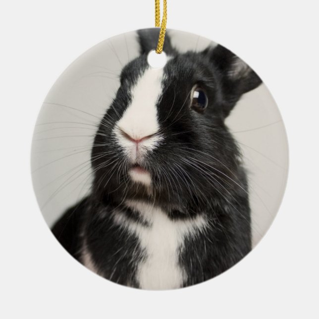 Förtjusande svartvit kaninkanin julgransprydnad keramik (Framsidan)