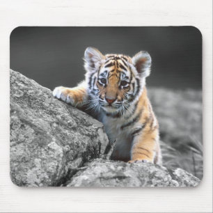 Förtjusande tigerunge Mousepad Musmatta