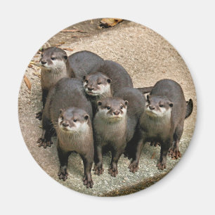 Förtjusande utterfamilj magnet