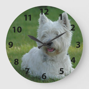 Förtjusande västra höglands- Terrier Stor Klocka
