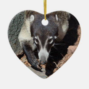 Förtjusande vit Nosed coatien Julgransprydnad Keramik