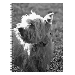 Förtjusande Westie Terriersamling Anteckningsbok Med Spiral