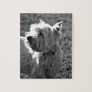 Förtjusande Westie Terriersamling Pussel