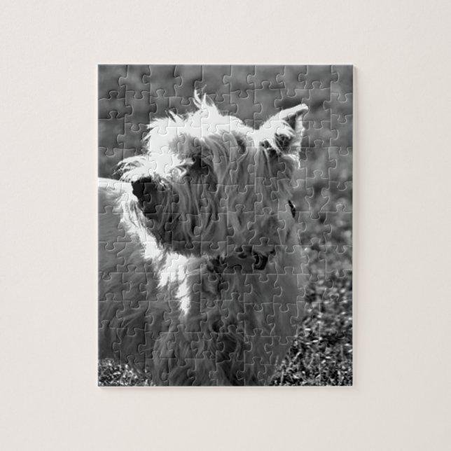Förtjusande Westie Terriersamling Pussel (Vertikal)