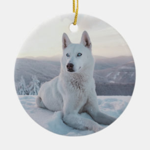 Förtjusande White Husky Hund i snö Julgransprydnad Keramik