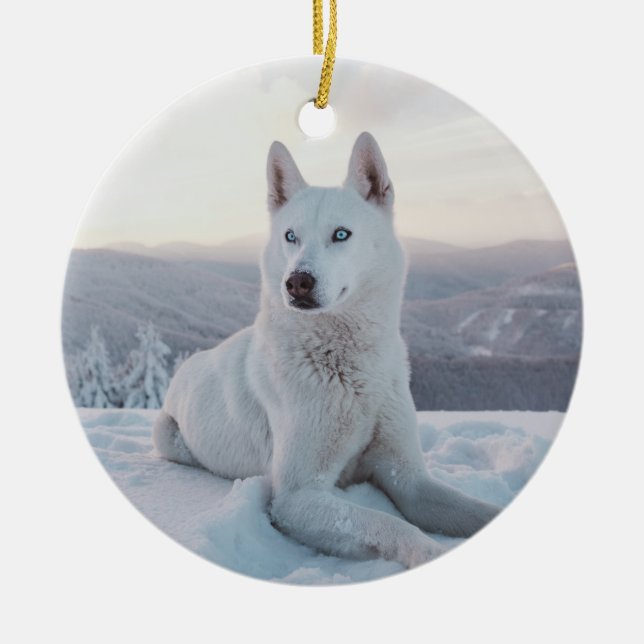 Förtjusande White Husky Hund i snö Julgransprydnad Keramik (Framsidan)