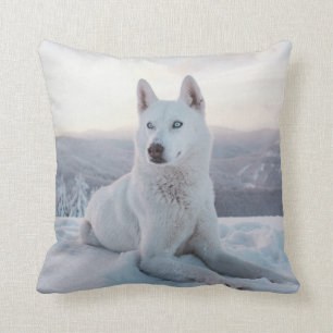 Förtjusande White Husky Hund i snö Kudde