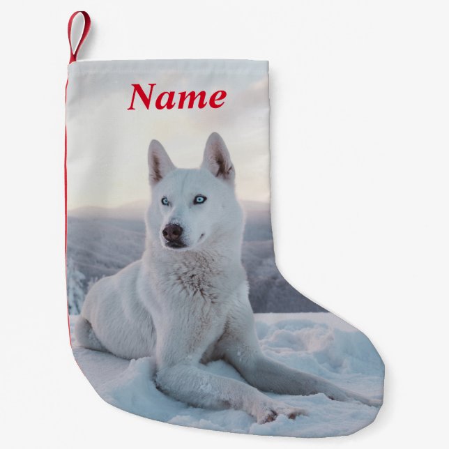 Förtjusande White Husky Hund i snö Liten Julstrumpa (Framsidan)