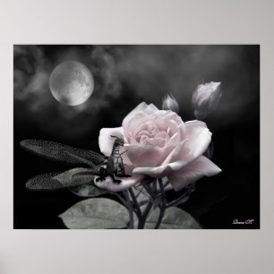 förtjust rosa i nätter poster