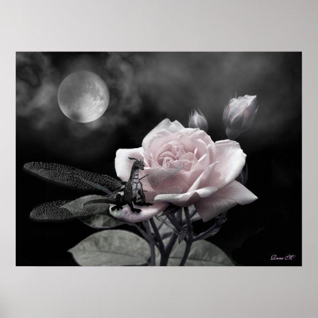 förtjust rosa i nätter poster (Framsidan)