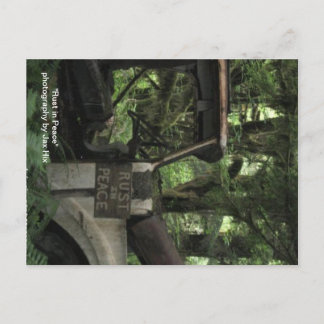 Förtroende i fred vykort