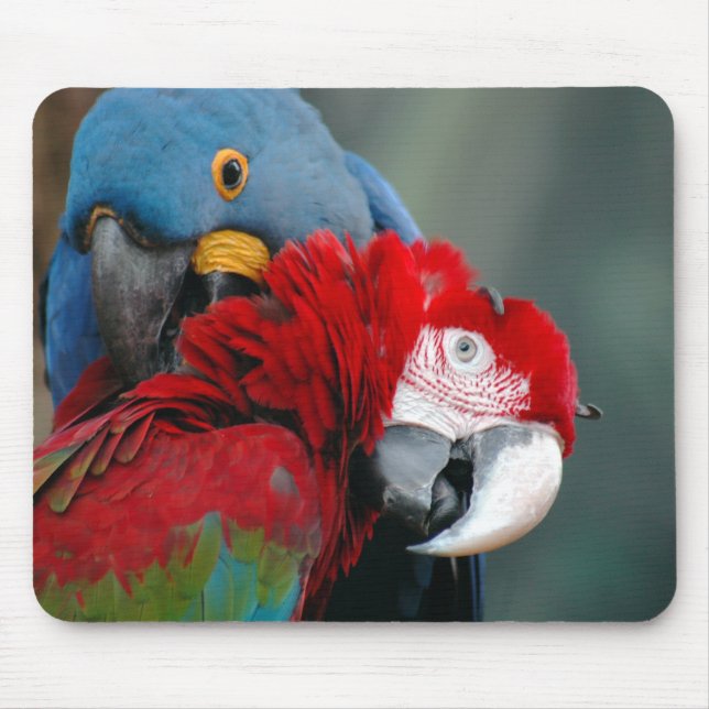 Förtroende Mousepad Musmatta (Framsidan)