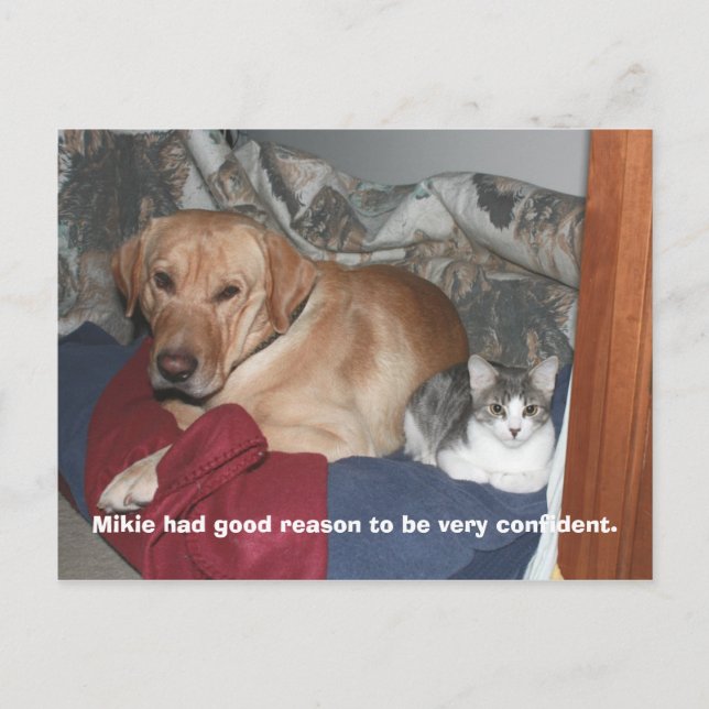 Förtroende Vykort (Framsida)