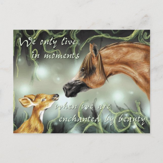 Förtrollad av skönhet vykort (Framsida)