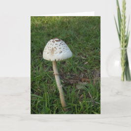 Förtrollad champinjon Notecards (tom insida) Kort