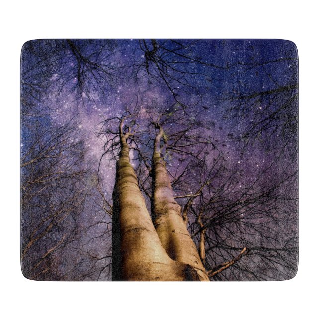 Förtrollad skog (Framsidan)