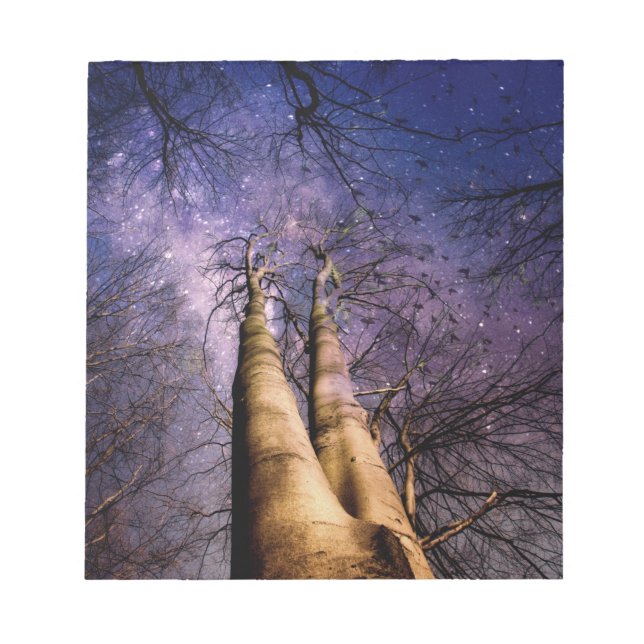 Förtrollad skog anteckningsblock (Framsida)