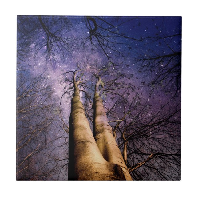 Förtrollad skog kakelplatta (Framsidan)