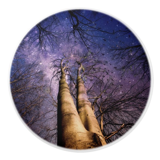 Förtrollad skog knopp (Framsidan)