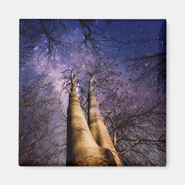 Förtrollad skog magnet