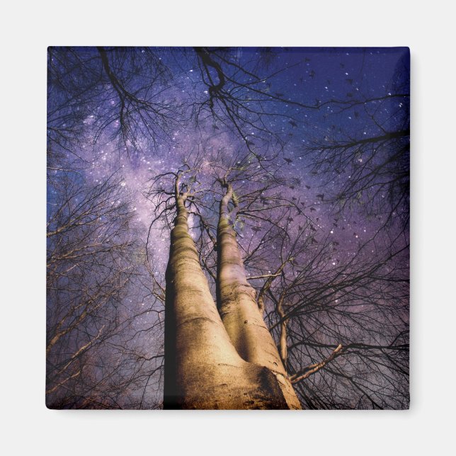 Förtrollad skog magnet (Framsidan)