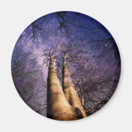 Förtrollad skog magnet