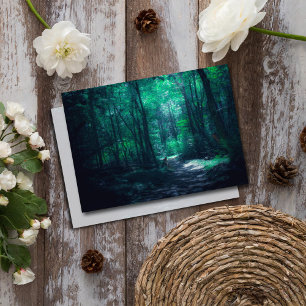 Förtrollad Skog Mystisk Skogs Natur Foto Anteckningskort