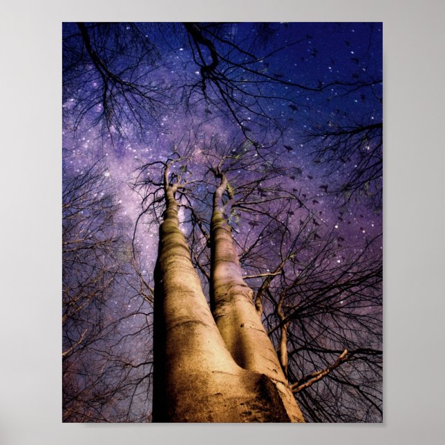 Förtrollad skog poster (Framsidan)