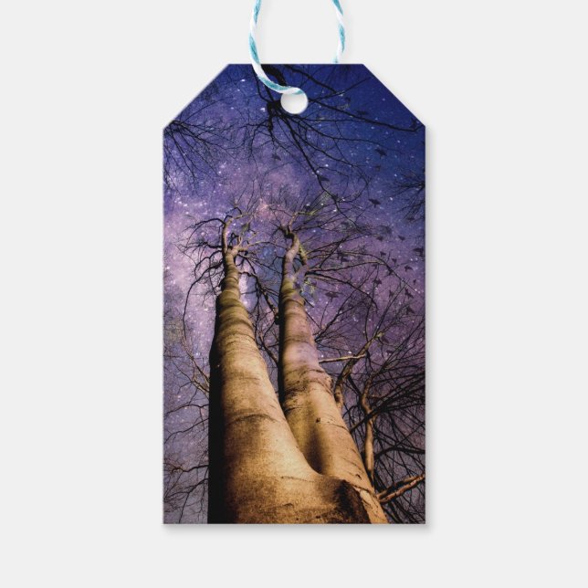 Förtrollad skog presentetikett (Framsidan)