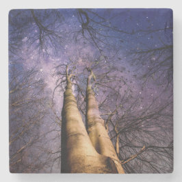 Förtrollad skog stenunderlägg