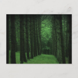 Förtrollad skogvykort vykort