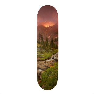 Förtrollade ängar mini skateboard bräda 18,5 cm