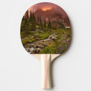 Förtrollade ängar pingisracket