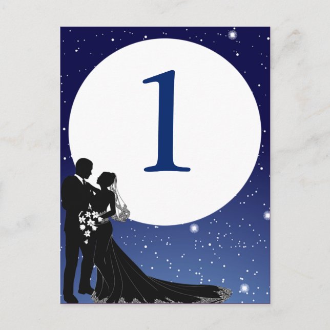 Förtrollat Evening Natt Bröllop Bord-kort Vykort (Framsida)