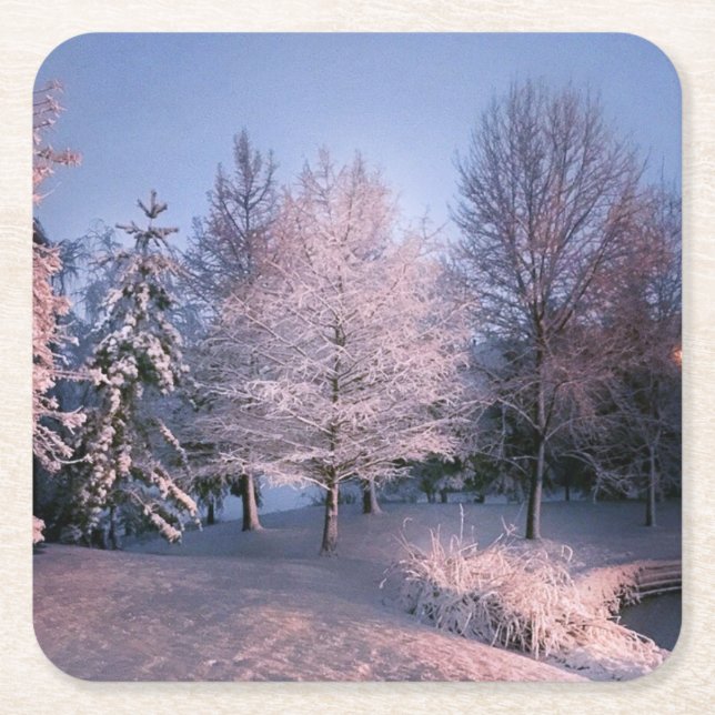 Förtrollat vinterunderlandunderlägg underlägg papper kvadrat (Framsidan)